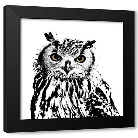 Spotted Owl Black Modern Wood Framed Art Print with Double Matting by Sommers, Mindy