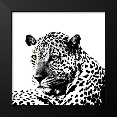 Spotted Leopard Black Modern Wood Framed Art Print by Sommers, Mindy