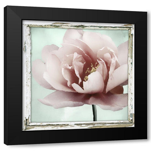 Garden and Mint I Black Modern Wood Framed Art Print with Double Matting by Sommers, Mindy