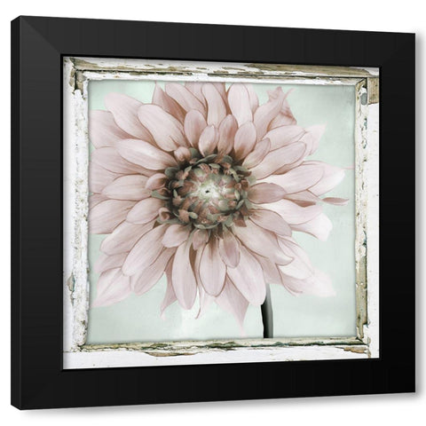 Garden and Mint II Black Modern Wood Framed Art Print with Double Matting by Sommers, Mindy