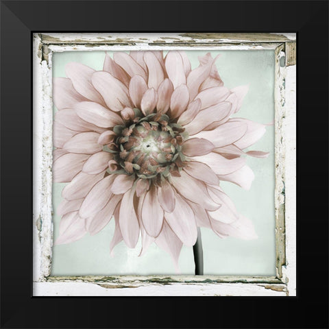 Garden and Mint II Black Modern Wood Framed Art Print by Sommers, Mindy