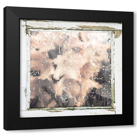 Antique Pink Black Modern Wood Framed Art Print by Sommers, Mindy