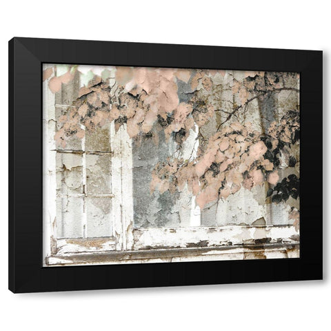 Distressed Cottage Black Modern Wood Framed Art Print with Double Matting by Sommers, Mindy