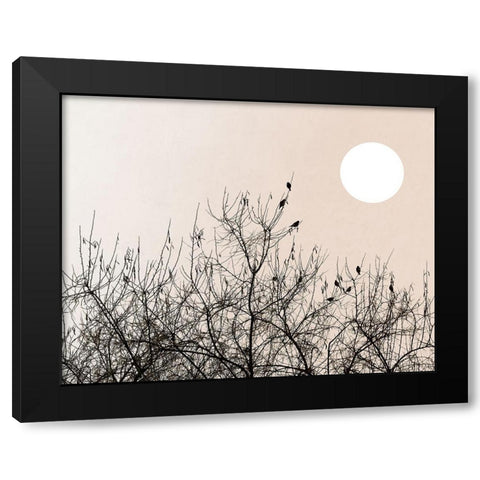 Twilight Ravens Black Modern Wood Framed Art Print with Double Matting by Sommers, Mindy