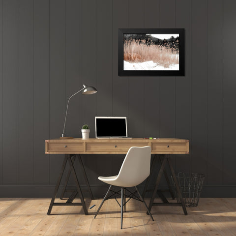 Ginger Vermont Black Modern Wood Framed Art Print by Sommers, Mindy