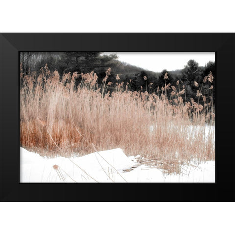 Ginger Vermont Black Modern Wood Framed Art Print by Sommers, Mindy