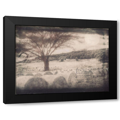 Moon Bales Black Modern Wood Framed Art Print by Sommers, Mindy