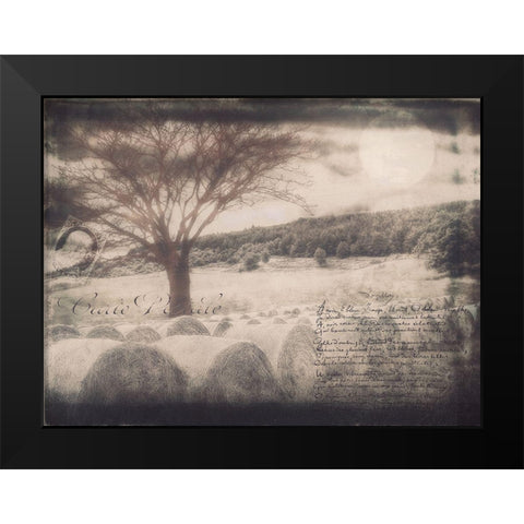 Moon Bales Black Modern Wood Framed Art Print by Sommers, Mindy