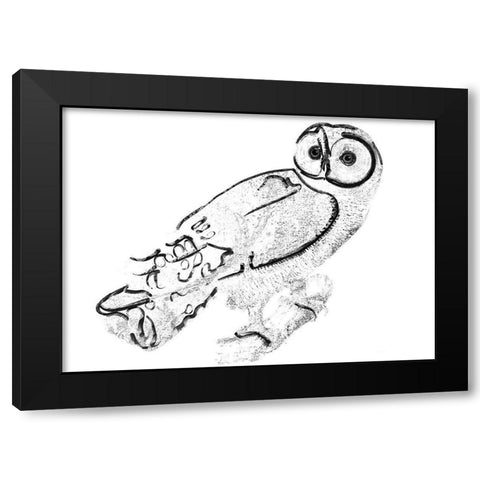 Owl Black Modern Wood Framed Art Print with Double Matting by Sommers, Mindy