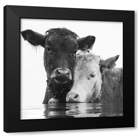 Sipping Pool Black Modern Wood Framed Art Print by Sommers, Mindy
