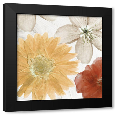 Cottage Refrain II Black Modern Wood Framed Art Print by Sommers, Mindy