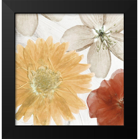 Cottage Refrain II Black Modern Wood Framed Art Print by Sommers, Mindy