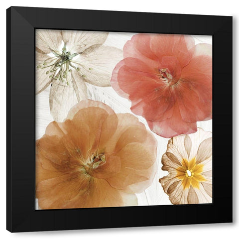 Cottage Refrain I Black Modern Wood Framed Art Print by Sommers, Mindy