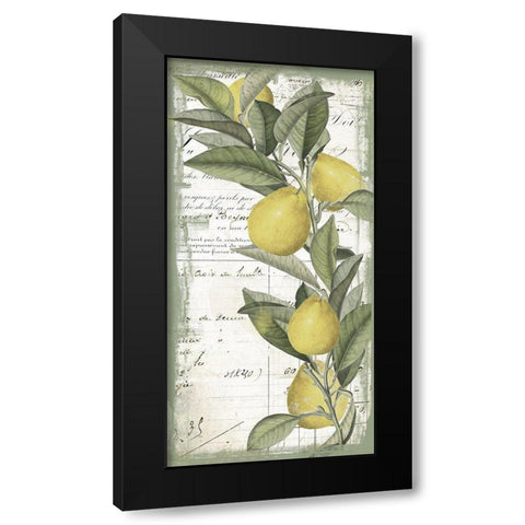 Citron II Black Modern Wood Framed Art Print with Double Matting by Sommers, Mindy