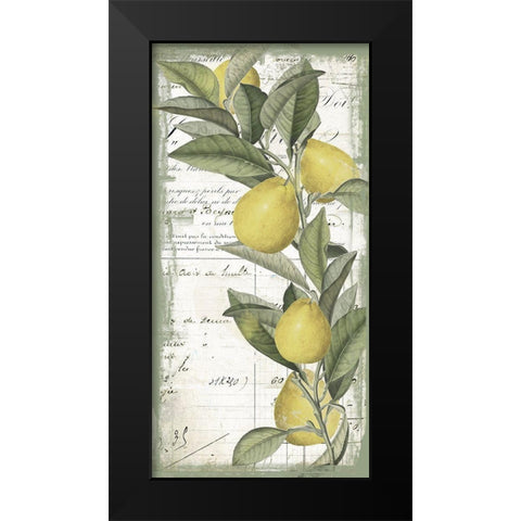 Citron II Black Modern Wood Framed Art Print by Sommers, Mindy