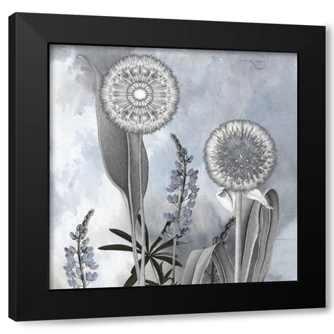 Dandelion Sky Black Modern Wood Framed Art Print with Double Matting by Sommers, Mindy