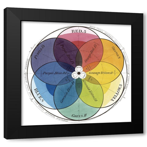 Chromatic Scale Black Modern Wood Framed Art Print with Double Matting by Sommers, Mindy