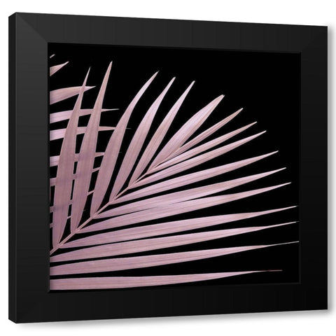 Pink Palm Black Modern Wood Framed Art Print by Sommers, Mindy