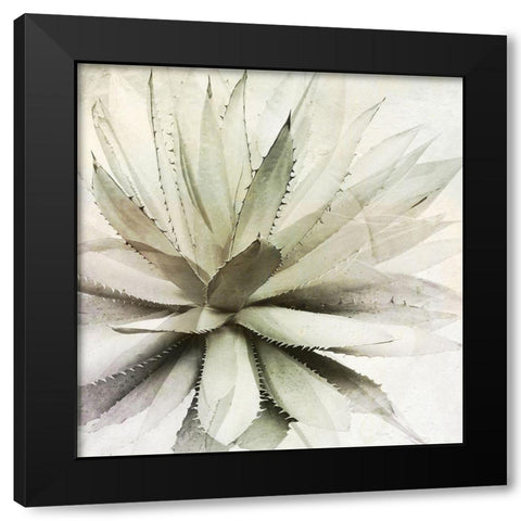 White Agave Black Modern Wood Framed Art Print with Double Matting by Sommers, Mindy