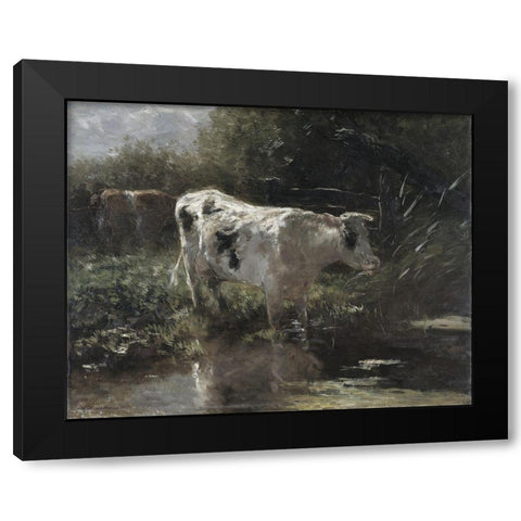 Cow Reflection Black Modern Wood Framed Art Print with Double Matting by Sommers, Mindy