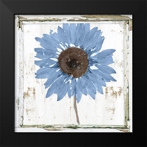 Blue Sunflower Redux Black Modern Wood Framed Art Print by Sommers, Mindy