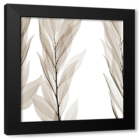 Natural Emotions Black Modern Wood Framed Art Print by Sommers, Mindy