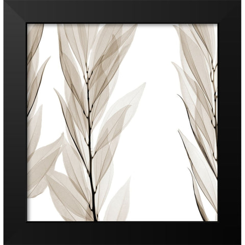Natural Emotions Black Modern Wood Framed Art Print by Sommers, Mindy