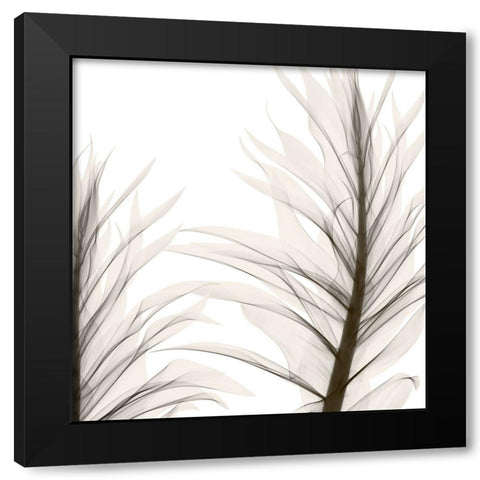 Natural Emotions II Black Modern Wood Framed Art Print with Double Matting by Sommers, Mindy