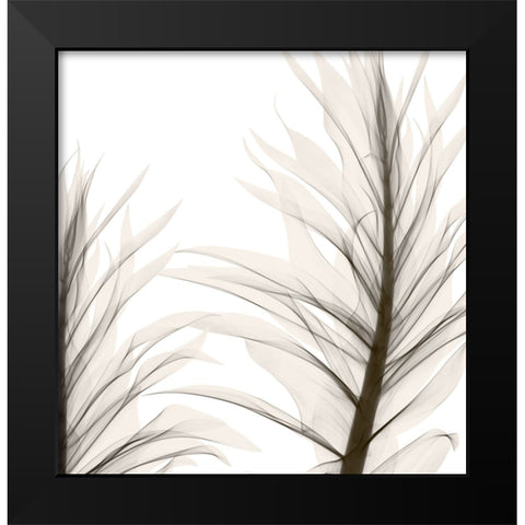 Natural Emotions II Black Modern Wood Framed Art Print by Sommers, Mindy