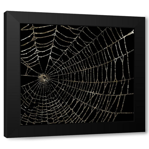 Spider Web Black Modern Wood Framed Art Print by Sommers, Mindy
