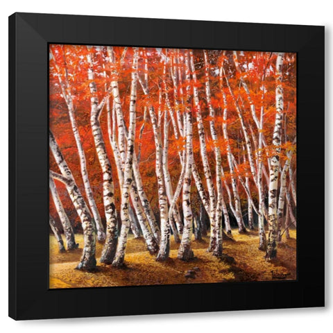 Bosco di betulle I Black Modern Wood Framed Art Print with Double Matting by Galasso, Adriano