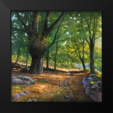 Luce nel bosco Black Modern Wood Framed Art Print by Galasso, Adriano