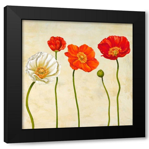Coquelicots Black Modern Wood Framed Art Print by Ann, Cynthia