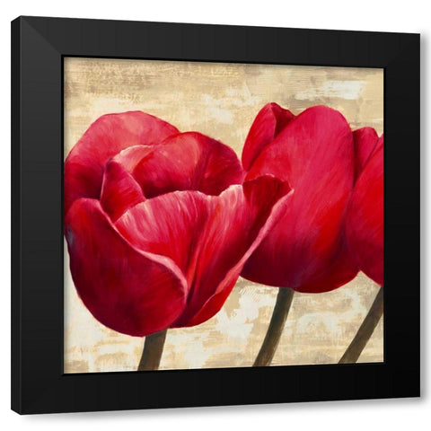 Red Tulips Black Modern Wood Framed Art Print by Ann, Cynthia