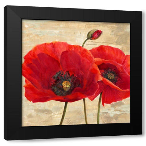 Red Poppies (detail II) Black Modern Wood Framed Art Print with Double Matting by Ann, Cynthia