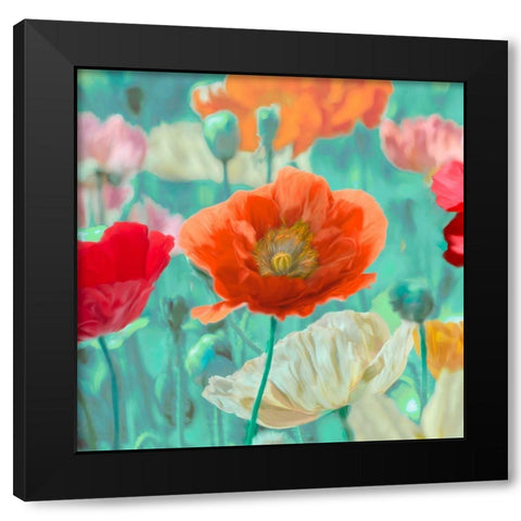 Poppies in Bloom I Black Modern Wood Framed Art Print by Cynthia, Ann