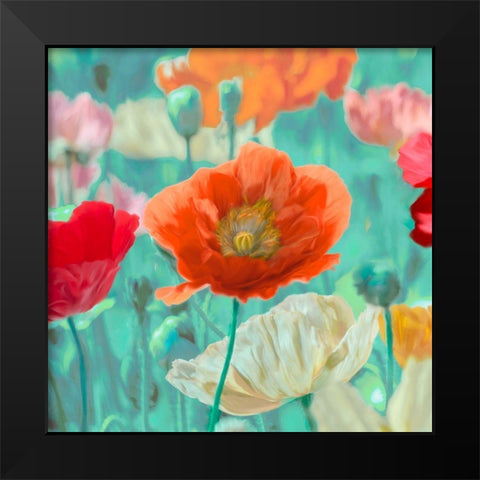 Poppies in Bloom I Black Modern Wood Framed Art Print by Cynthia, Ann