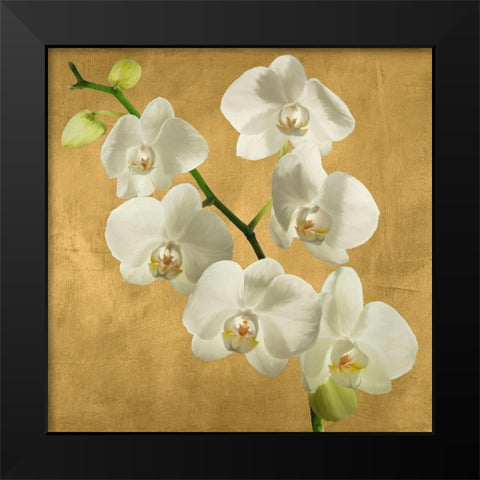 Orchids on a Golden Background I Black Modern Wood Framed Art Print by Antinori, Andrea