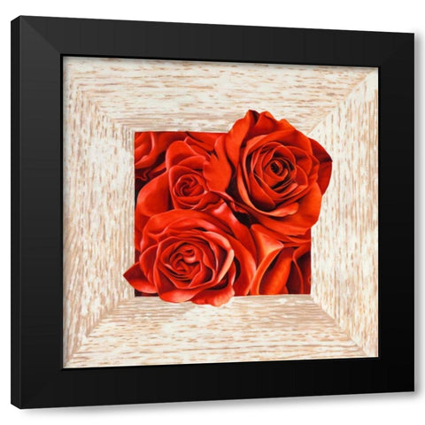 French Roses I Black Modern Wood Framed Art Print by Benson, Pierre