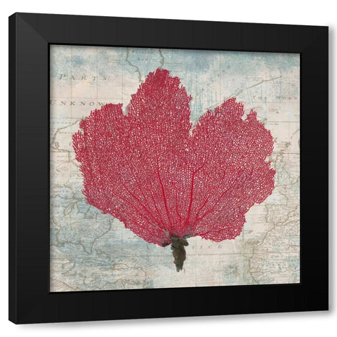 Fan Coral Black Modern Wood Framed Art Print with Double Matting by Broome, Ted