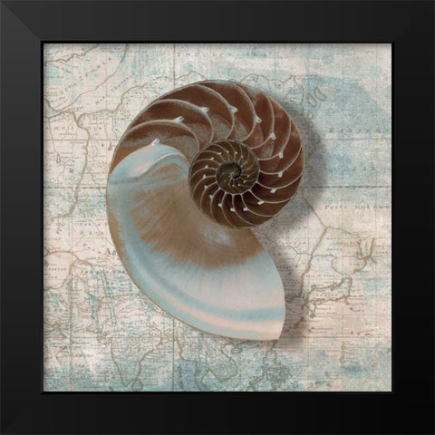 Nautilus Black Modern Wood Framed Art Print by Broome, Ted