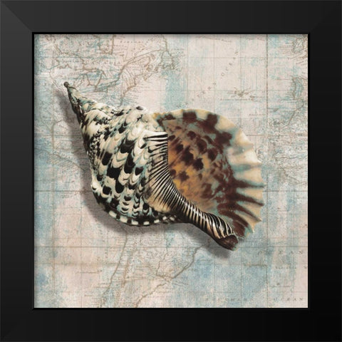 Sea Shell Black Modern Wood Framed Art Print by Broome, Ted