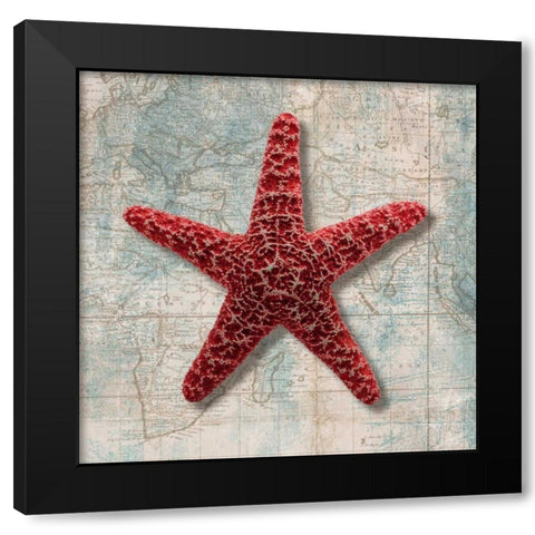 Starfish Black Modern Wood Framed Art Print with Double Matting by Broome, Ted