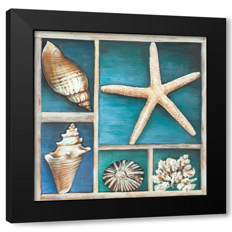 Collection of Memories II Black Modern Wood Framed Art Print by Broome, Ted