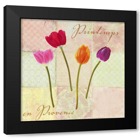 Printemps en Provence Black Modern Wood Framed Art Print with Double Matting by Dellal, Remy