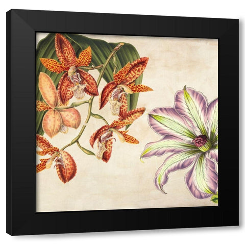 Panneau Botanique V Black Modern Wood Framed Art Print with Double Matting by Dellal, Remy