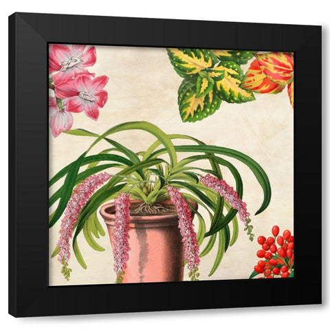 Panneau Botanique VII Black Modern Wood Framed Art Print with Double Matting by Dellal, Remy