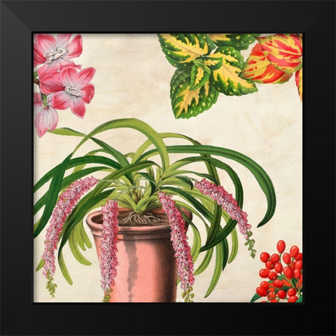 Panneau Botanique VII Black Modern Wood Framed Art Print by Dellal, Remy