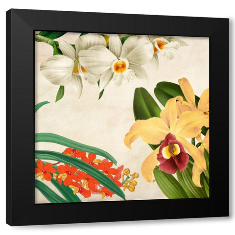 Panneau Botanique VIII Black Modern Wood Framed Art Print with Double Matting by Dellal, Remy