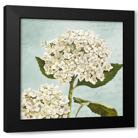 Hydrangeas II (Aqua) Black Modern Wood Framed Art Print with Double Matting by Remy, Dellal